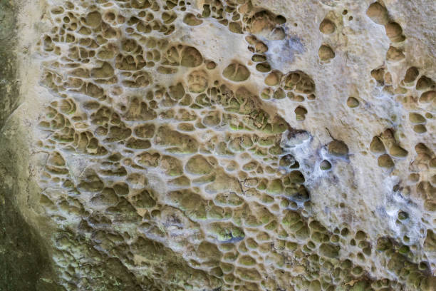 istock Weathered surface of sandstone rock in shade 2200645073