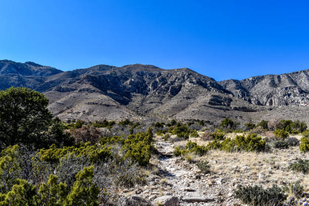 istock Hiking the Guadalupe Mountains 2200651596