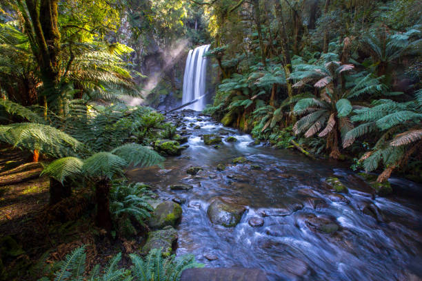 istock Waterfall landscape nature photography 2200654681