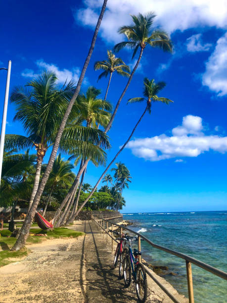 istock Palm trees surrounding two bikes standing next to the ocean in Hawaii 2200656279