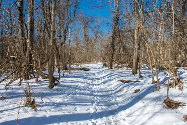 Castlewood SP - Lone Wolf Trail & Shadows in Snow