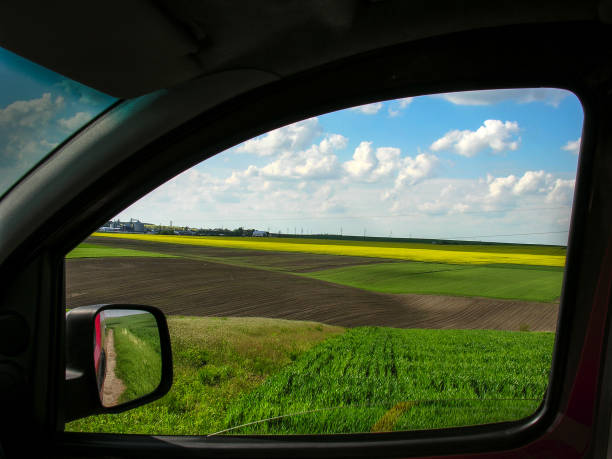 Gomel, Belarus - May 11, 2019: Renault Duster Suv In Spring Rapeseed Field Countryside Landscape. Duster Produced Jointly By French Manufacturer Renault And Its Romanian Subsidiary Dacia.