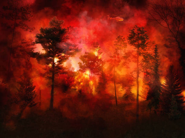Massive forest fire, intense orange flames, dark sky, night bushfires with lot of smoke, aerial firefighting helicopter, red flame background. Pine trees, dry grass burned during the dry season. Environment, disaster, firefighting, ecology, emergency, nature conservation 3D illustration
