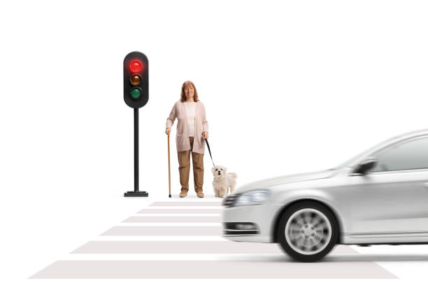 istock Ederly woman with a dog waiting at traffic light 2200663314