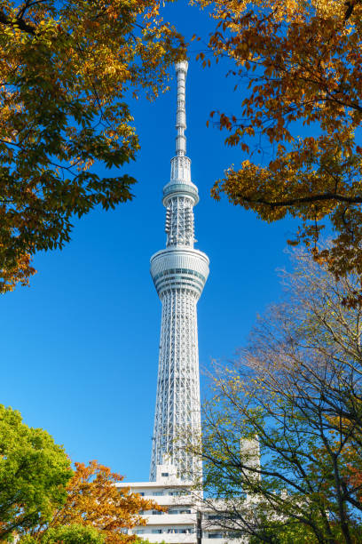 istock Tokyo Skytree with Yellow Leaves under Blue Sky 2200665156
