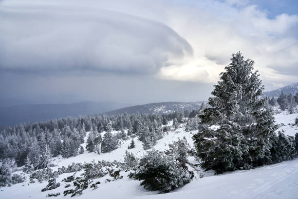 istock mountainside covered with coniferous forest in winter in the Karkonosze mountains 2200665265