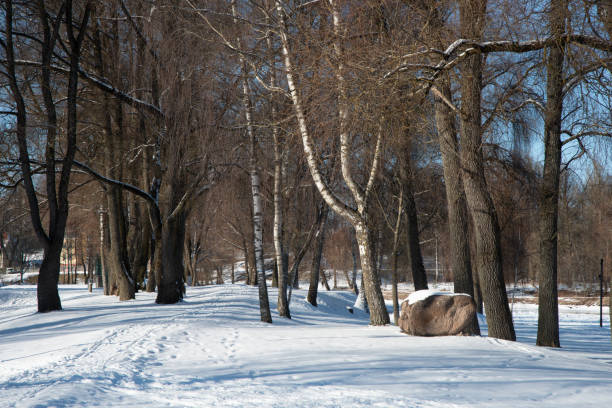 Letna Park in winter, large public park on the Letna hill above Vltava river in Prague, Czech republic on 12 January 2025