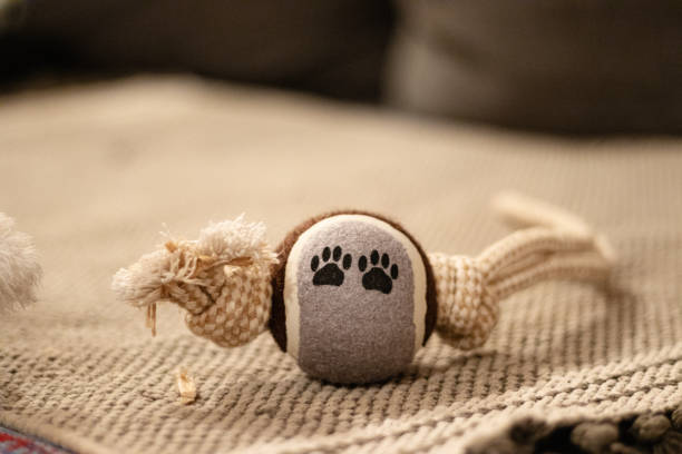 toy for dogs pets