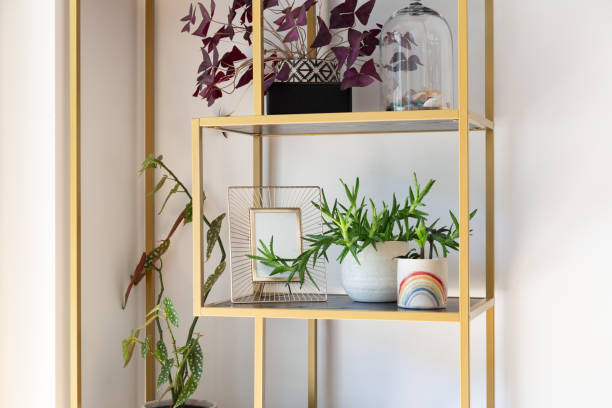 istock Golden shelf with plants 2200673596