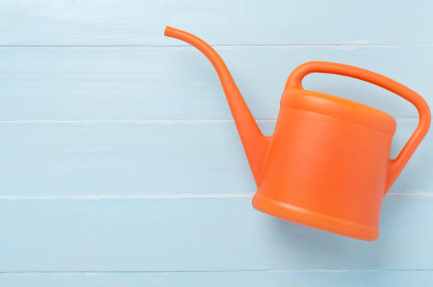 istock Watering can on wooden background, top, view 2200673616