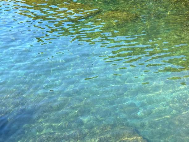 istock Transparent sea water with underwater seaweed 2200674565