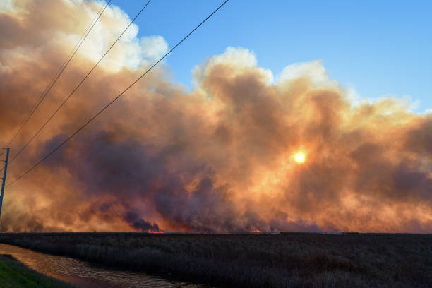 istock Middleton Wildfire near Stowell in Texas 2200675197