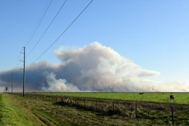 istock Middleton Wildfire near Stowell in Texas 2200675213