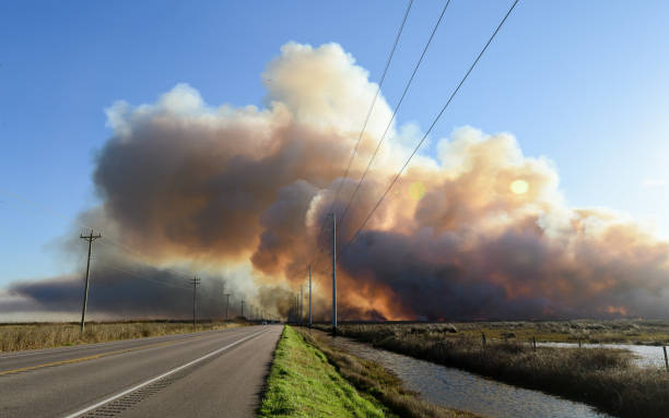 Middleton Wildfire near Stowell in Texas