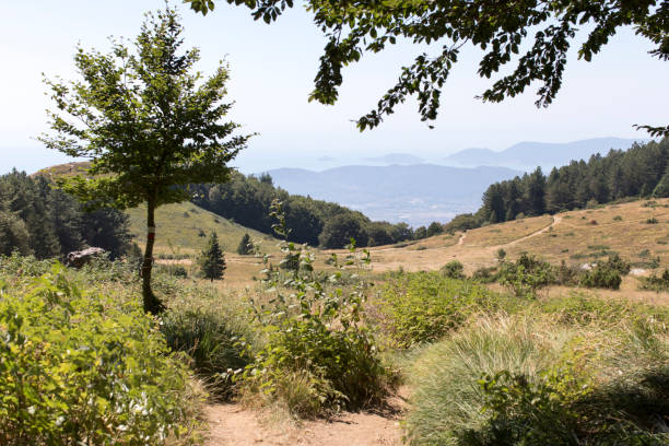 A nice landscape of Campocecina, close to Carrara, Italy