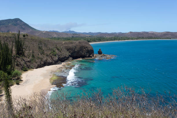istock The beautiful tropical coast 2200678436