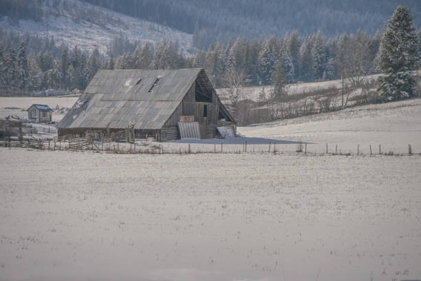 Free Stock Photo of Barn Standing in Snowy Field | Download Free Images ...