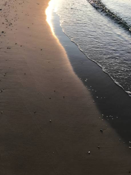 istock sunset, sand, sea, beach, seagulls, waves, sun, sky, rest 2200687314