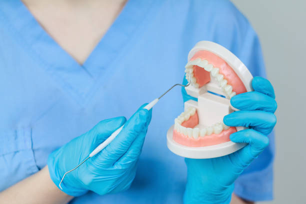 istock The dentist conducts diagnostics and training using instruments and an artificial jaw for practice. 2200688750