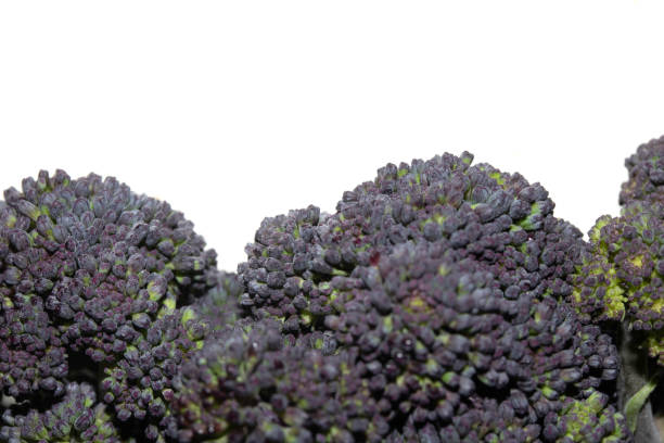 istock Close up of Purple sprouting broccoli on white background 2200701404