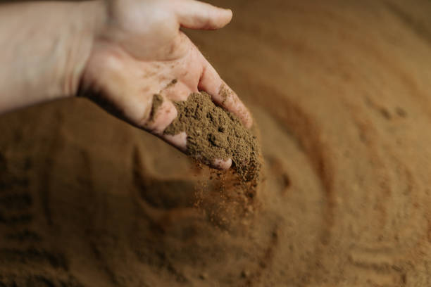 istock Hands gently releasing soil into a textured ground surface during gardening 2200702436