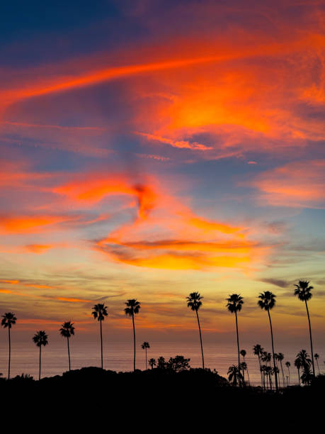 istock Sunset in Encinitas California between the palm trees over the ocean 2200712316