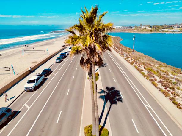 istock Palm Tree Dividing Coastal Highway 2200712960