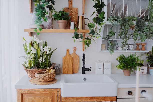 Charming kitchen interior with plants and wooden accents in a bright space