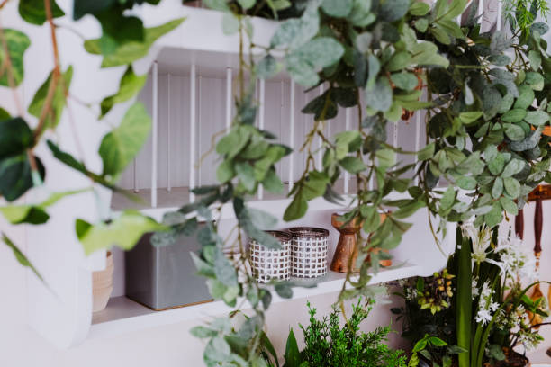 istock Indoor greenery arrangement with decorative elements in a cozy space 2200712999