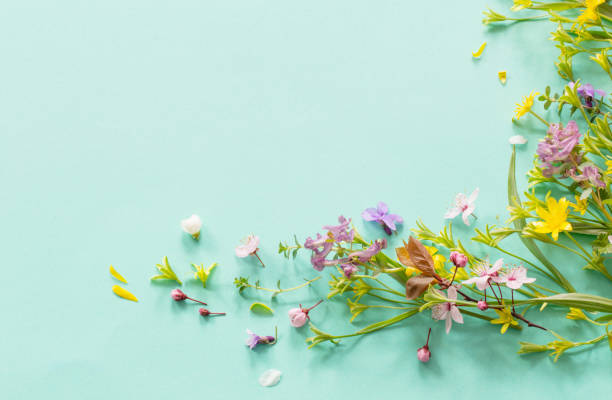 istock wild spring flowers on paper background 2200713298
