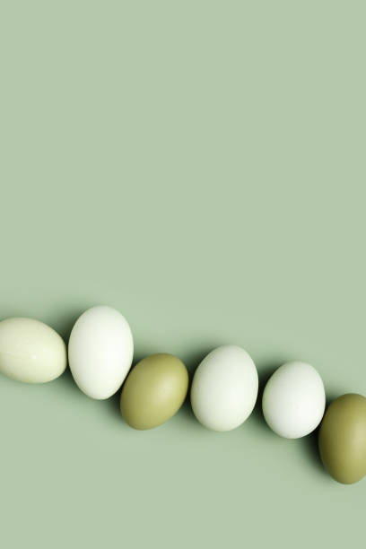 Emu egg