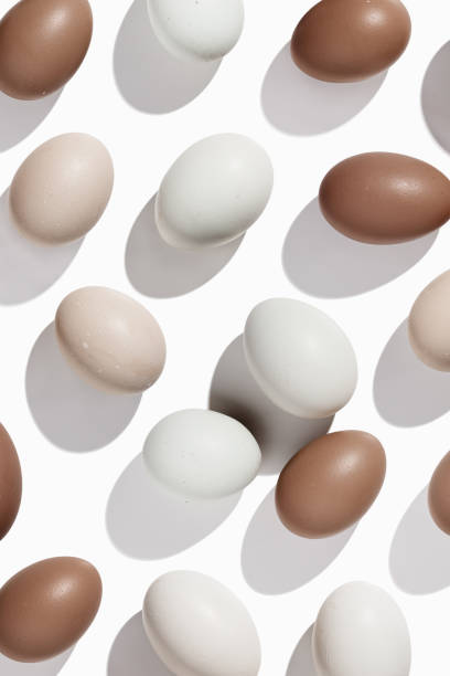 istock Top view Brown beige Eggs with shadows on light background, minimal trend food pattern from assorted natural Chicken egg with neutral color eggshells, Easter food celebration concept, monochrome color 2200719693