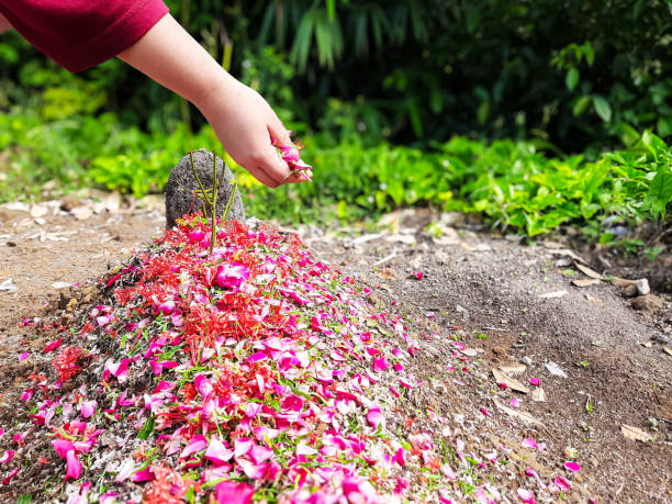 Indonesian Grave with Tombstone and Flower Scattering Ritual