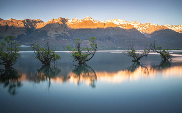 istock Willow Trees in the Lake Wakatipu 2200728602