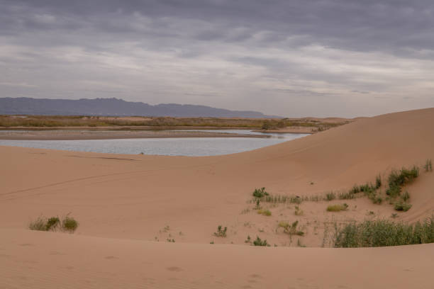 Tourists are playing in Great Sand Dunes National Park, Colorado, USA.
