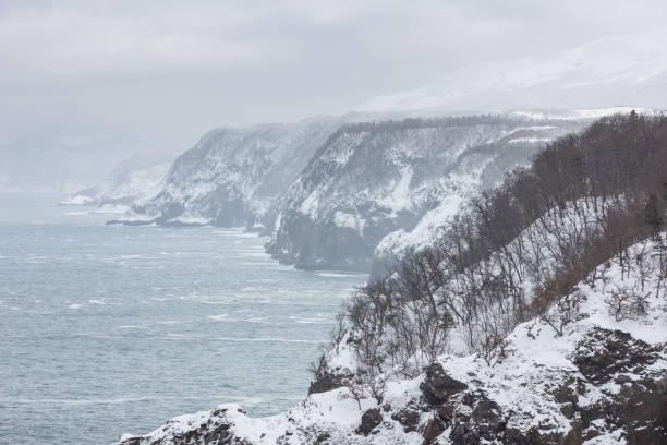 A high-angle view along the coastline of the Shiretoko Peninsula of Hokkaido. Wild land full of mountains and wildlife popular with nature lovers and photographers.