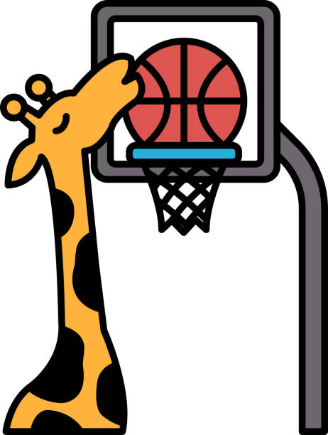 A giraffe is leaning over a basketball hoop and sniffing the basketball A giraffe is leaning over a basketball hoop and sniffing the basketball. The image is playful and whimsical, with the giraffe's unusual height and the basketball's round shape unusual basket stock illustrations