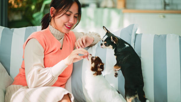 istock Living with pet friend at home. 2200746027