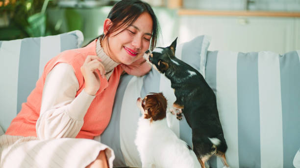 istock Living with pet friend at home. 2200746066