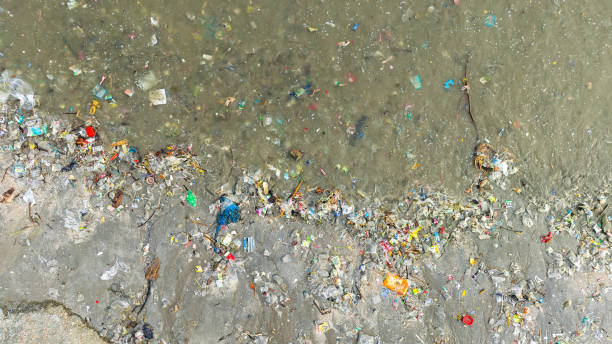 istock trash, plastic cups and plastic bags at the beach. environmental problem concept and healing the world 2200749477