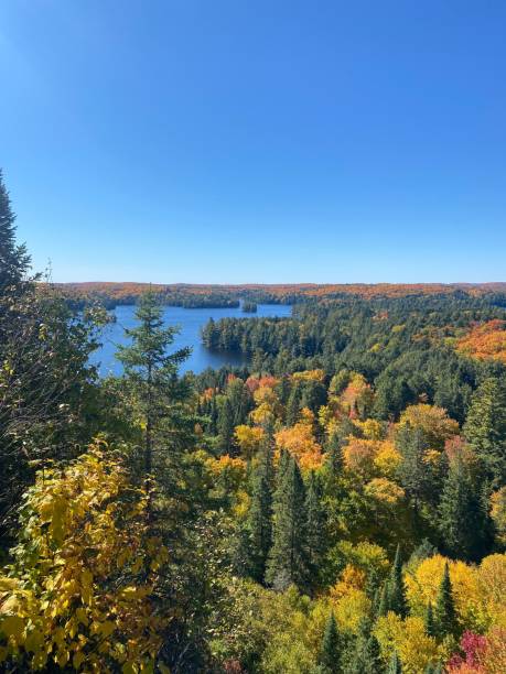 istock Autumn Forest and Lake View 2200750044