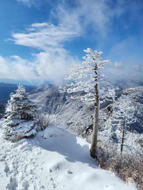 istock snowflakes in snow mountains. 2200755391
