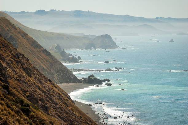 istock Sonoma Coast State Beach on a Hazy Summer Morning 2200770917