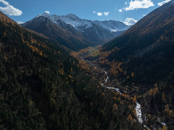 istock Aerial view of pine tree forest mountain landscape 2200771392