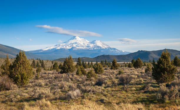 istock Mount Shasta View at the National Forest 2200771619