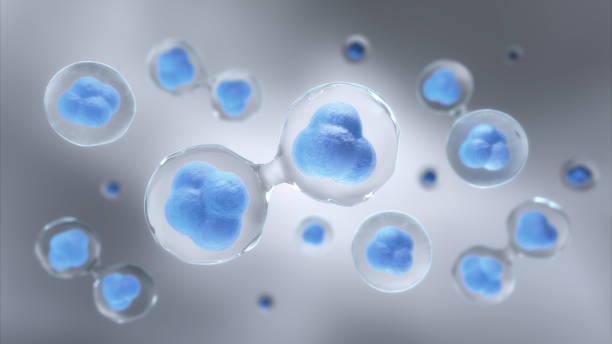 istock Cell division, Stem Cell Therapy, Medical and science concept, 3D rendering 2200772767