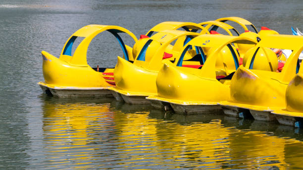istock Paddle boats tranquil lake recreational activity scenic nature serene environment 2200778274