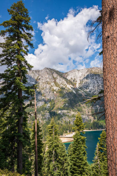 Famous Lake Tahoe Viewpoint with Panoramic Mountain Landscape, Crystal Water and Blue Sky, Iconic US Travel Location