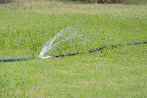 A close-up view of a sprinkler watering lush green grass in a home garden.