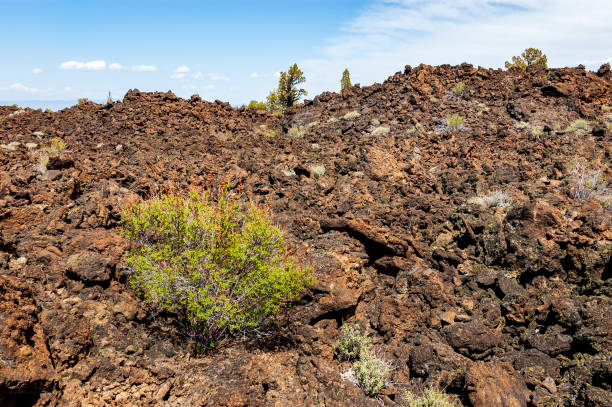 istock Rugged Lava Field at Lava Beds National Monument 2200778889
